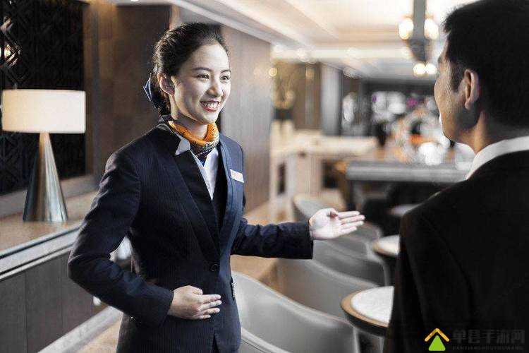 法国满天星酒店服务生:探秘酒店服务行业的神秘面纱