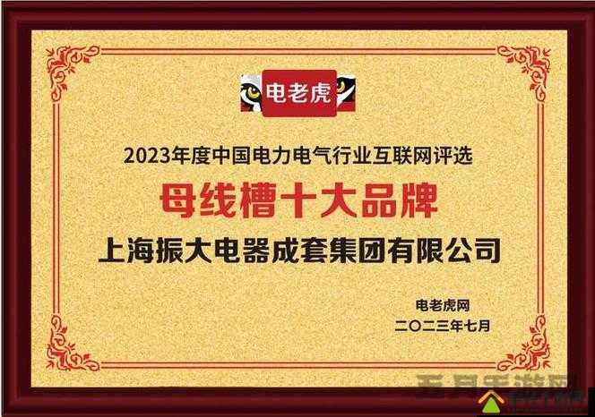 国产母线槽国内一线品牌 5：引领行业的优质之选