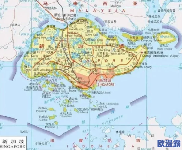 探讨艾尔登法环中，哪位伴侣角色最受欢迎及选择理由