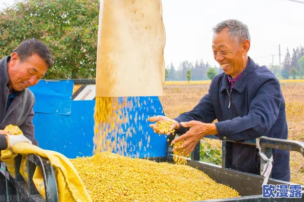 震惊！啦啦啦大豆行情网51的功能介绍竟然能让农民收入翻倍，实时数据助你掌握市场动态！