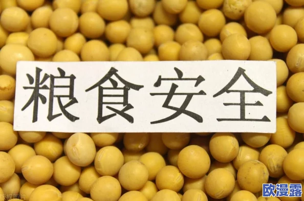 震惊！啦啦啦大豆行情网51的功能介绍竟然能让农民收入翻倍，实时数据助你掌握市场动态！