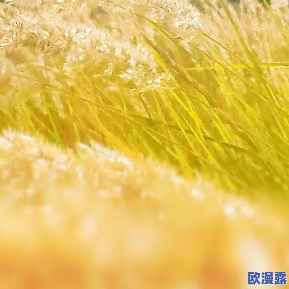成品人和精品人的区别：深入分析两者在工作态度、质量标准与职业发展上的显著差异