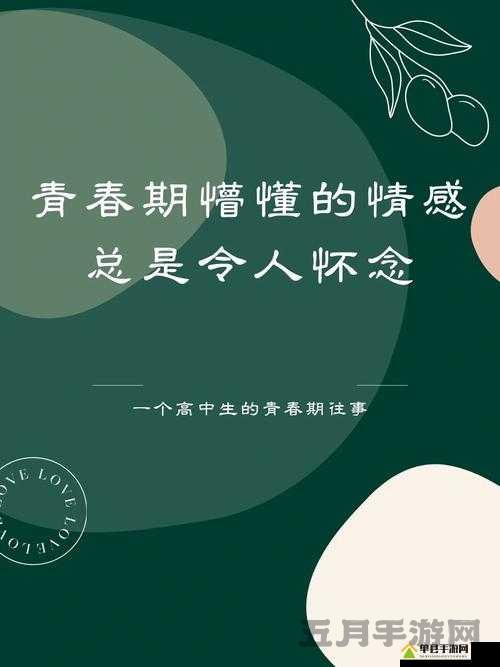 XXⅩ19 至 20 岁 HD 第一次的青春懵懂与独特经历