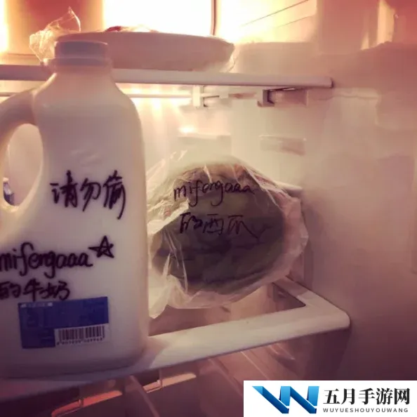 欧美做爰全过程免费的视频：最新动态引发热议，网友热衷分享观看体验与讨论平台选择