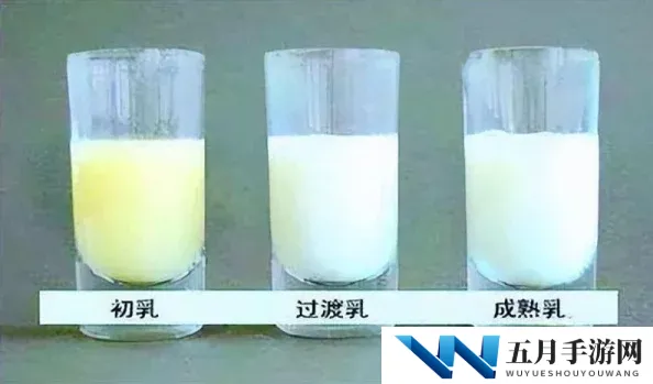 和平精英女生的母乳到底有多白？从健康饮食到影响因素，探讨母乳颜色的成因与重要性完整解析