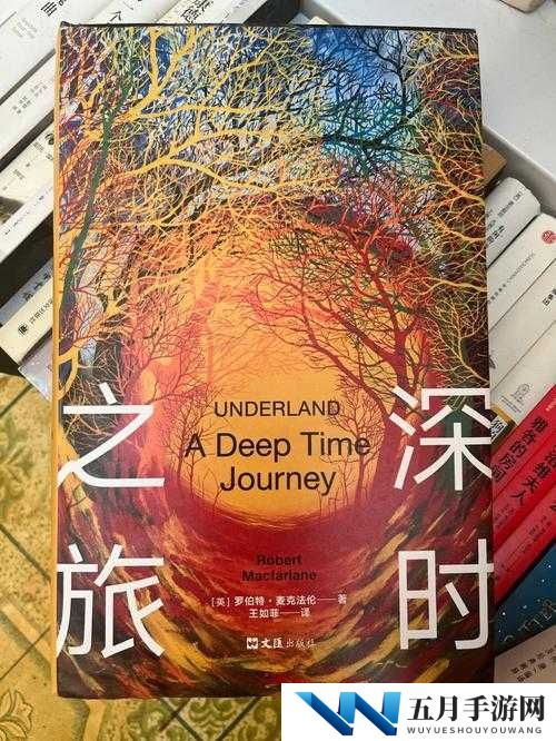 纵横驰骋于上下起伏的奇妙世界之旅