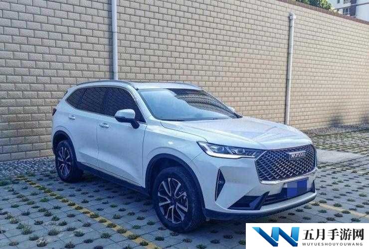 国产 SUV 精品一区二区五开放免费进出,你不容错过的精彩