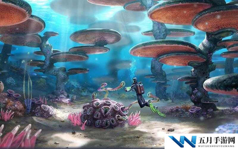 深海迷航漂浮者,美丽水世界的奇妙居民