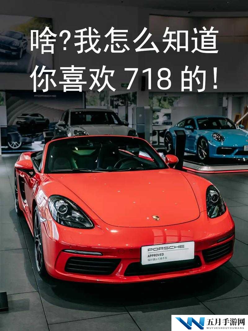 718·SX 究竟是什么？它有着怎样独特的含义与魅力？快来一探究竟