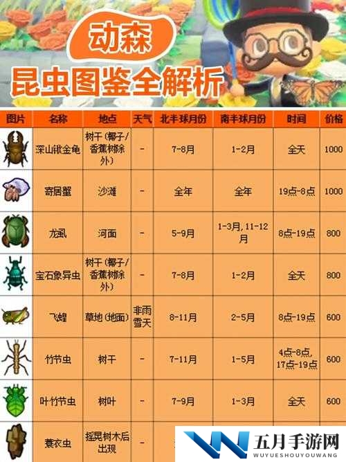 小森生活猛袭有什么用?甲虫属性介绍