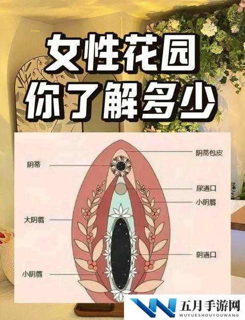 探索女性另类性混交zo的独特现象：社会观念与个人选择的交织