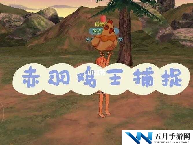 如何捕捉小森生活中的赤羽鸡王，解锁成为真正的森林王者之谜？