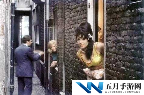 荷兰熟妇激情性爱，与年轻男子疯狂缠绵