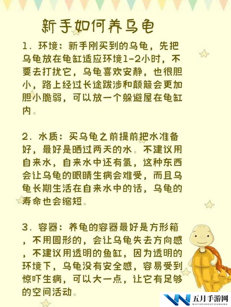 小森生活甲虫怎么养 甲虫训练方式介绍