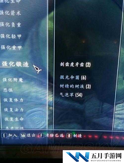 上古卷轴刀锋神器为何无法强化？揭秘轻松解决的必备方法！