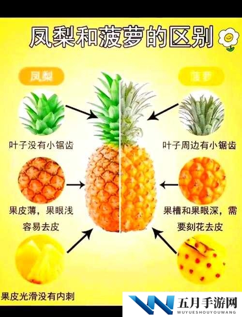 小森生活菠萝究竟隐藏何处？揭秘分布位置与高效采集策略