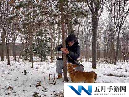 人与狗锁的奇妙互动：揭秘狗狗如何成为人类最佳伙伴的视频解析