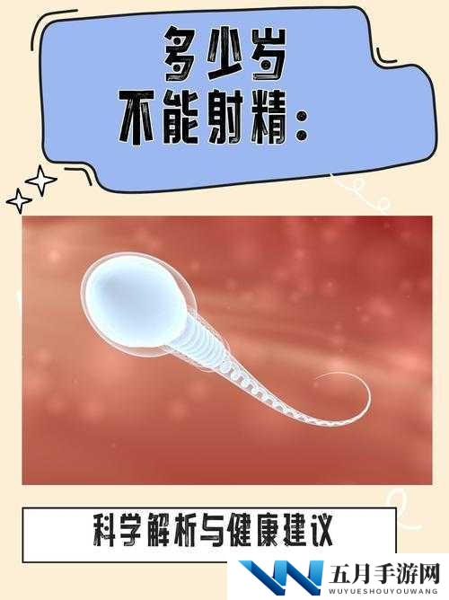 白嫩白嫩 lBBBwBBw 究竟是什么意思？为何引发众人好奇与关注？
