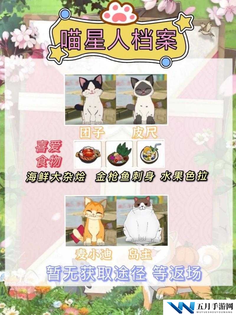 如何在保证安全与卫生的前提下，科学有效地喂养小森生活中的野猫？