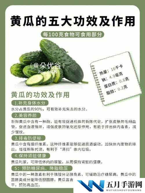 探索🈲️18水蜜桃🍑与大黄瓜🥒的完美搭配：健康饮食新选择与创意食谱分享