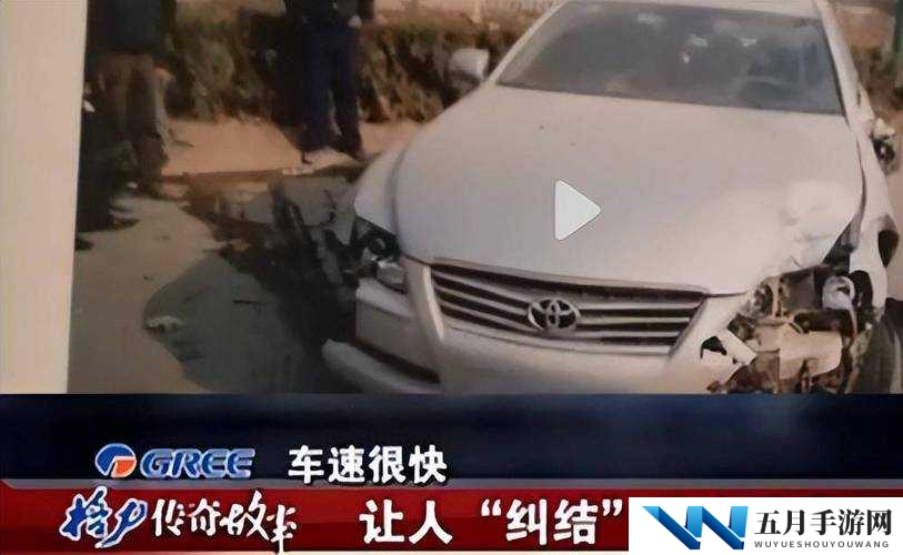 探索血腥工厂之谜：正版免费观看，揭示不为人知的真相