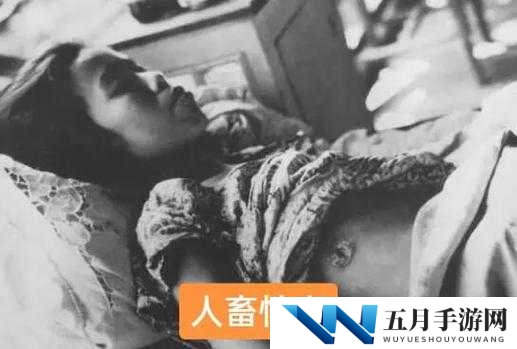 人鲁交做爰视频免费观看:完整版高清资源分享,揭秘真实情感互动细节