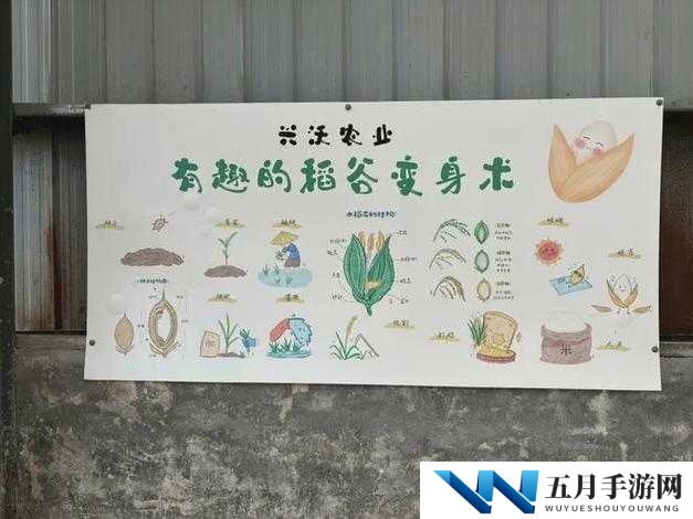 老农种树秘籍揭秘，种子如何一步步长成参天大树，种植攻略经历了哪些变革？