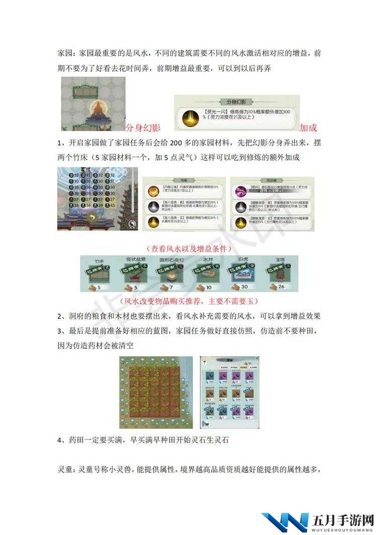 无极仙途飞升后，新手如何快速上手？全面攻略揭秘悬念！