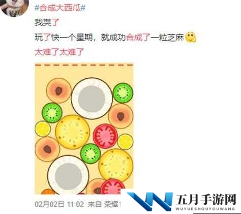 合成大西瓜，揭秘高效合成公式与进阶玩法攻略，你能挑战最高分吗？