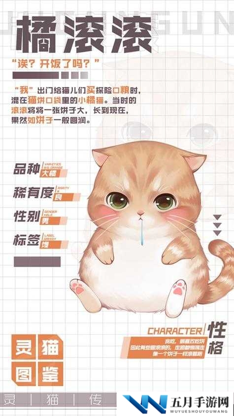 灵猫传橘苗苗究竟如何？全面揭秘灵猫属性攻略悬念解析