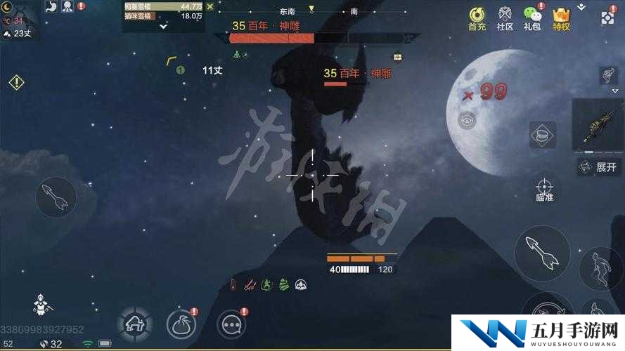 妄想山海中如何成功捕捉神秘神雕？全面解析神雕捕捉攻略！