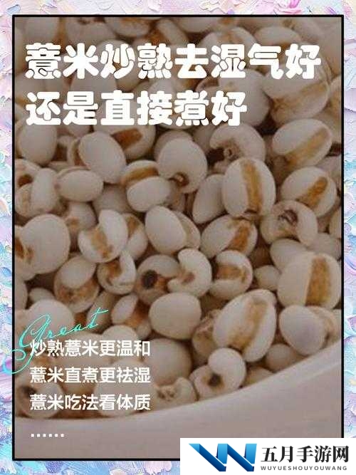 江南百景图薏米究竟如何获取？全面揭秘薏米获取方法！