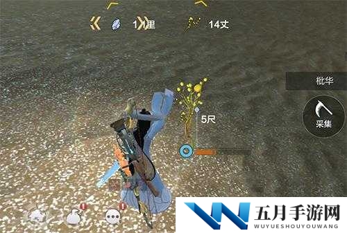 妄想山海枇华草在哪?枇华草位置分布介绍演变史专题