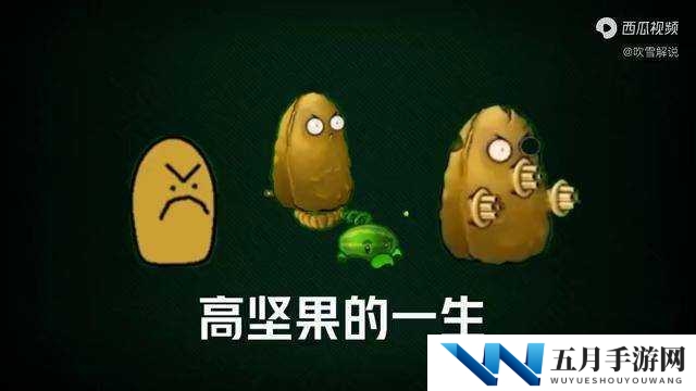 植物王者解析：《植物大战僵尸2》中的护卫之神——高坚果特性详解与攻略指南