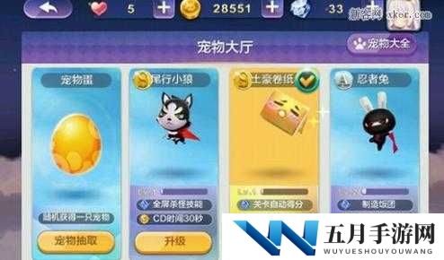 天天风之旅角色宠物搭配隐藏组合技汇总