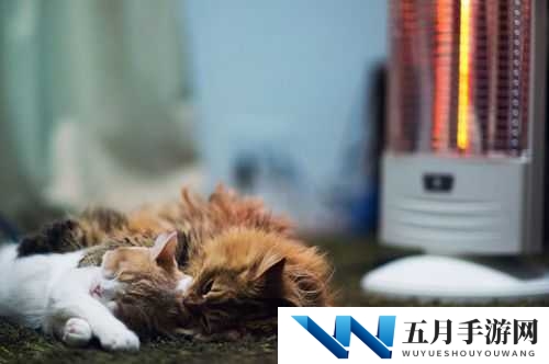 锲涜檸鏈鏂板湴鍩熺綉鍚2024 鍏嶈垂鑻规灉-全新解读