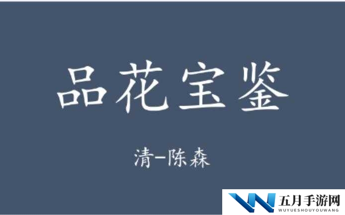 鎬т竴浜や竴鏃犱竴浼︿竴绮句竴鍝：其独特魅力所在