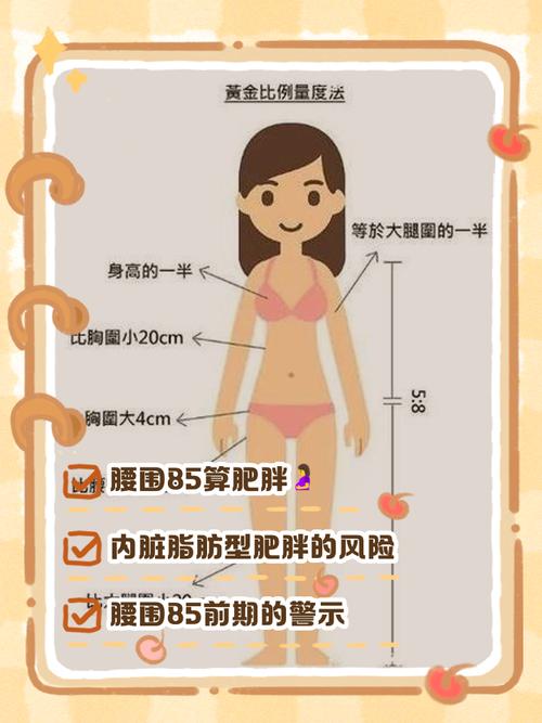 女明星腰围揭秘：排名背后的身材焦虑与行业真相