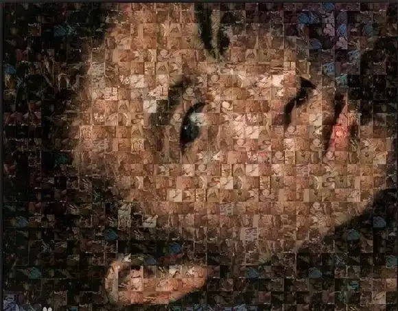 娱乐圈艳照门_陈冠希艳照门事件详细过程_艳照门事件对香港娱乐圈的影响