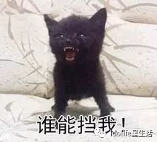 《2018娱乐圈吃瓜期末考（全国卷）》