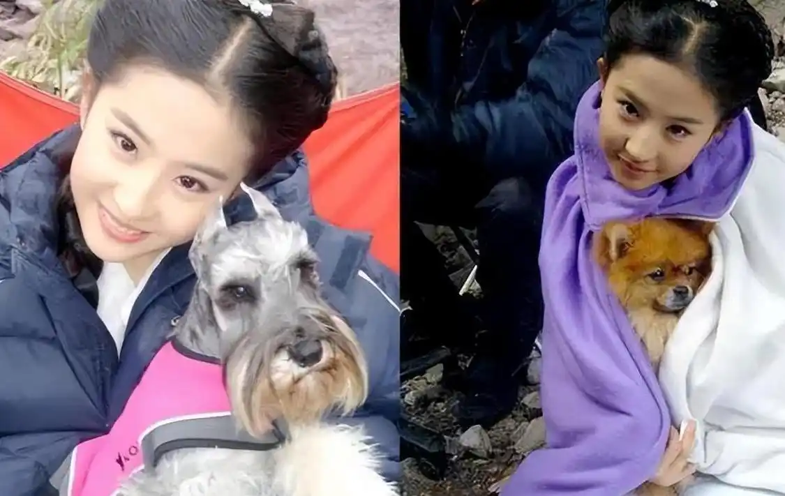 天生富贵相女星_景甜郭晶晶刘亦菲朱珠许晴陈红_旺夫面相的女明星